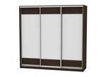 Шкаф-купе Белла B-230х235х60-3 (D8+D8+D8)